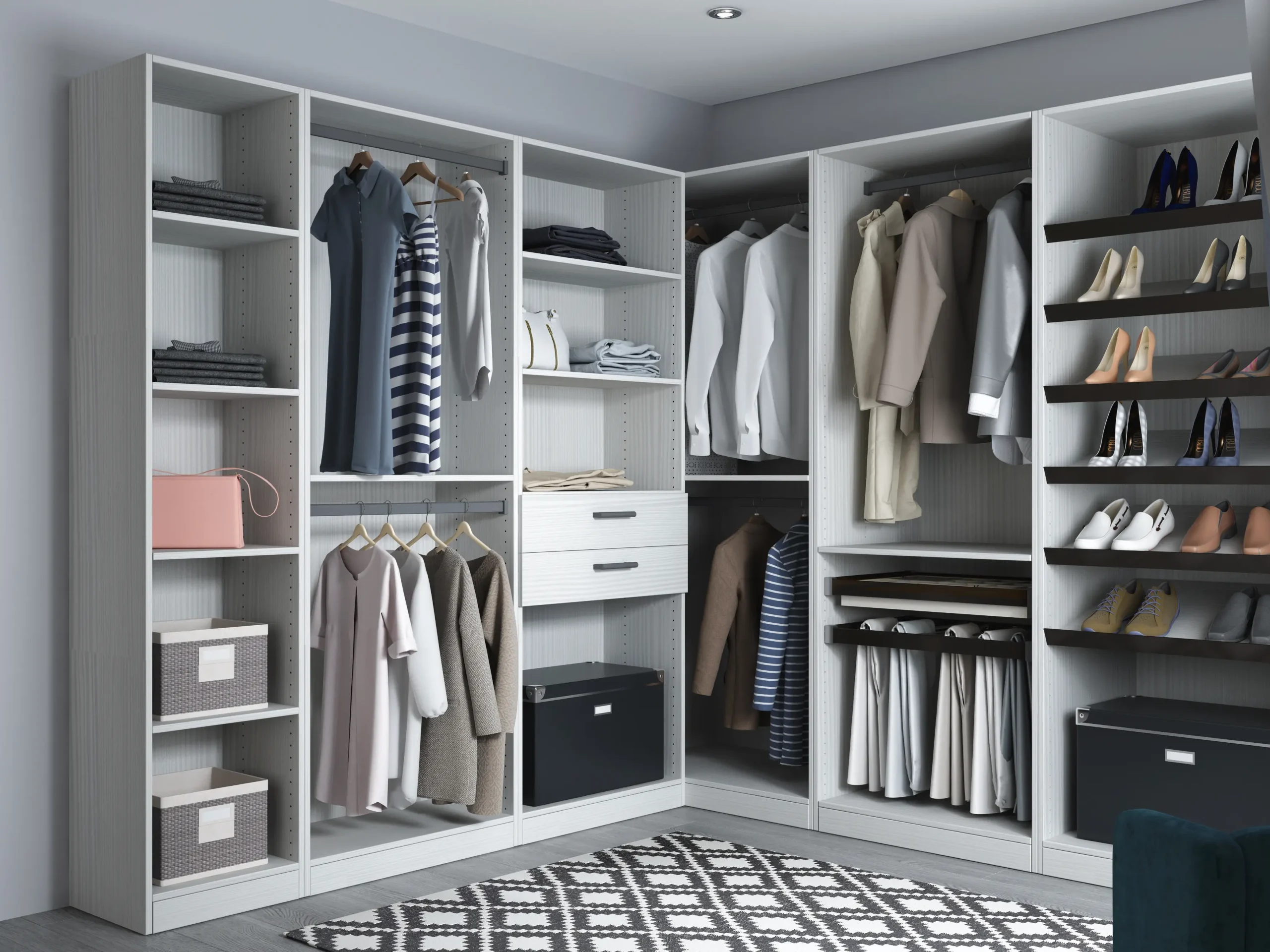 Contemporary closet